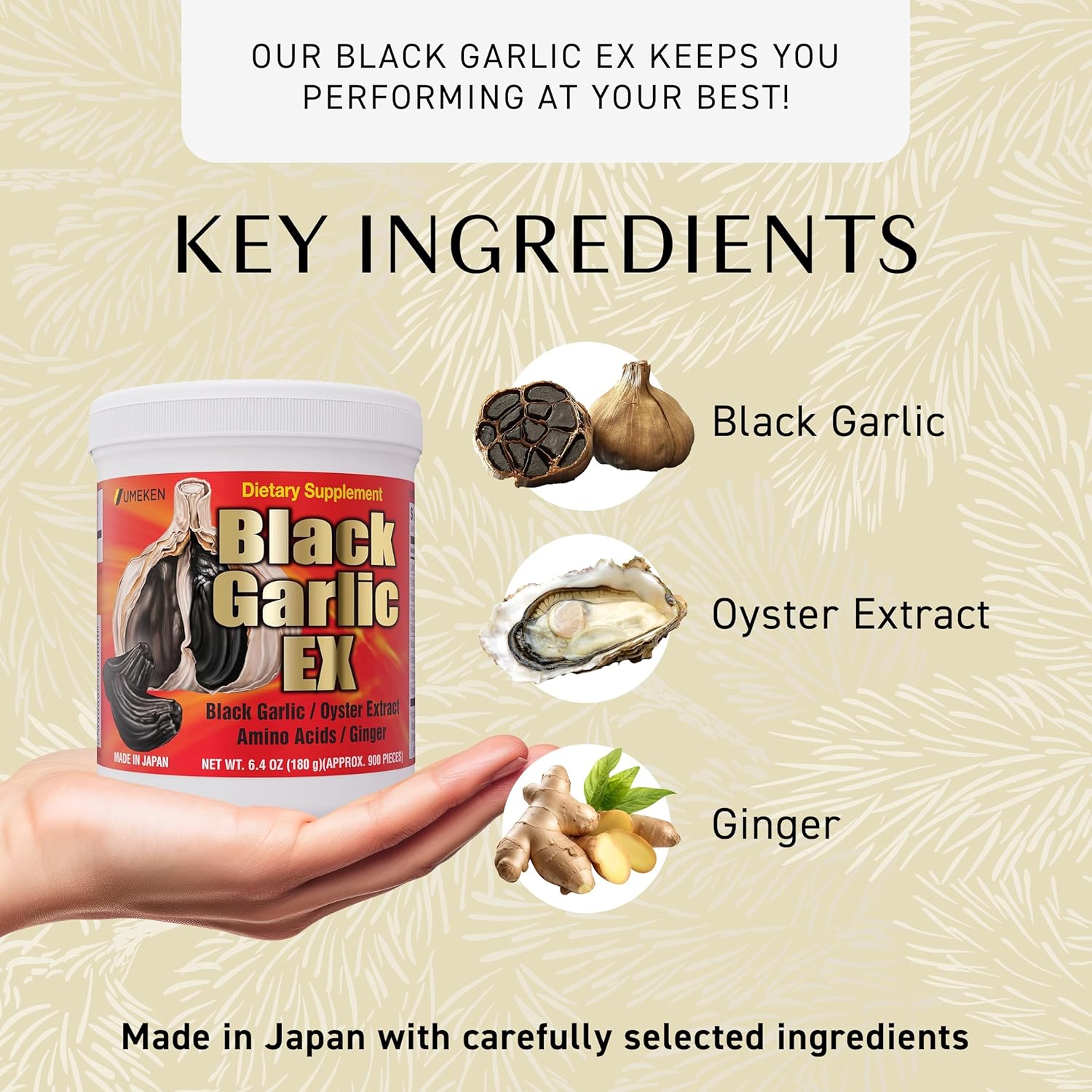 Umeken Black Garlic EX, Fermented Concentrate with Vitamin B, Allicin, Amino Acid, Fermented Black Garlic Supplement, Oyster Extract, Ginger, 2-3 Month Supply, 6.4 Ounce 180g Bottle, Pack of 1