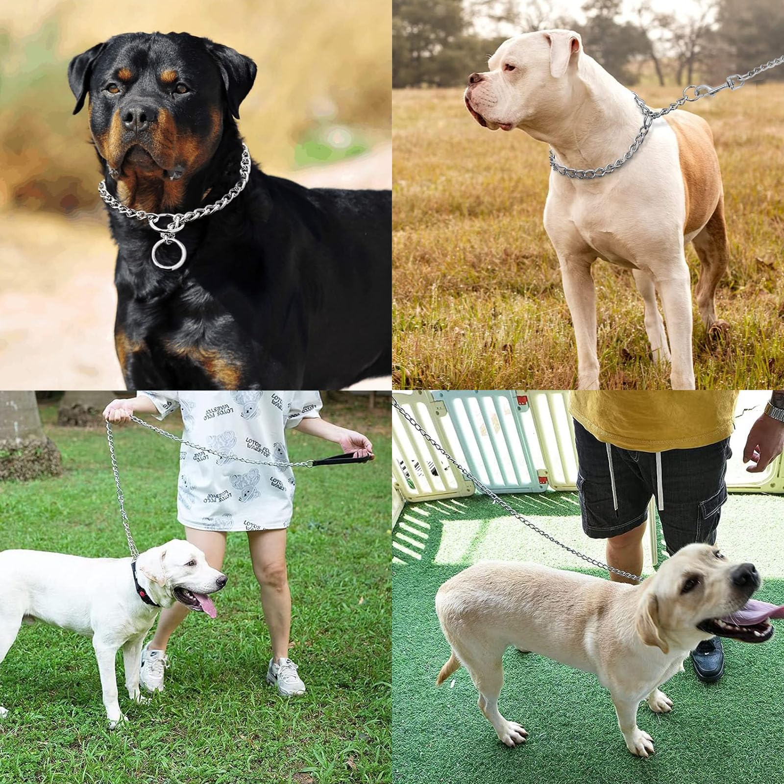 65cm Collier Etrangleur Chien 128cm Laisse Chaine pour Chien, Acier Inoxydable Collier Chaine pour La Plupart des Chiens l'entraînement et Les Promenades