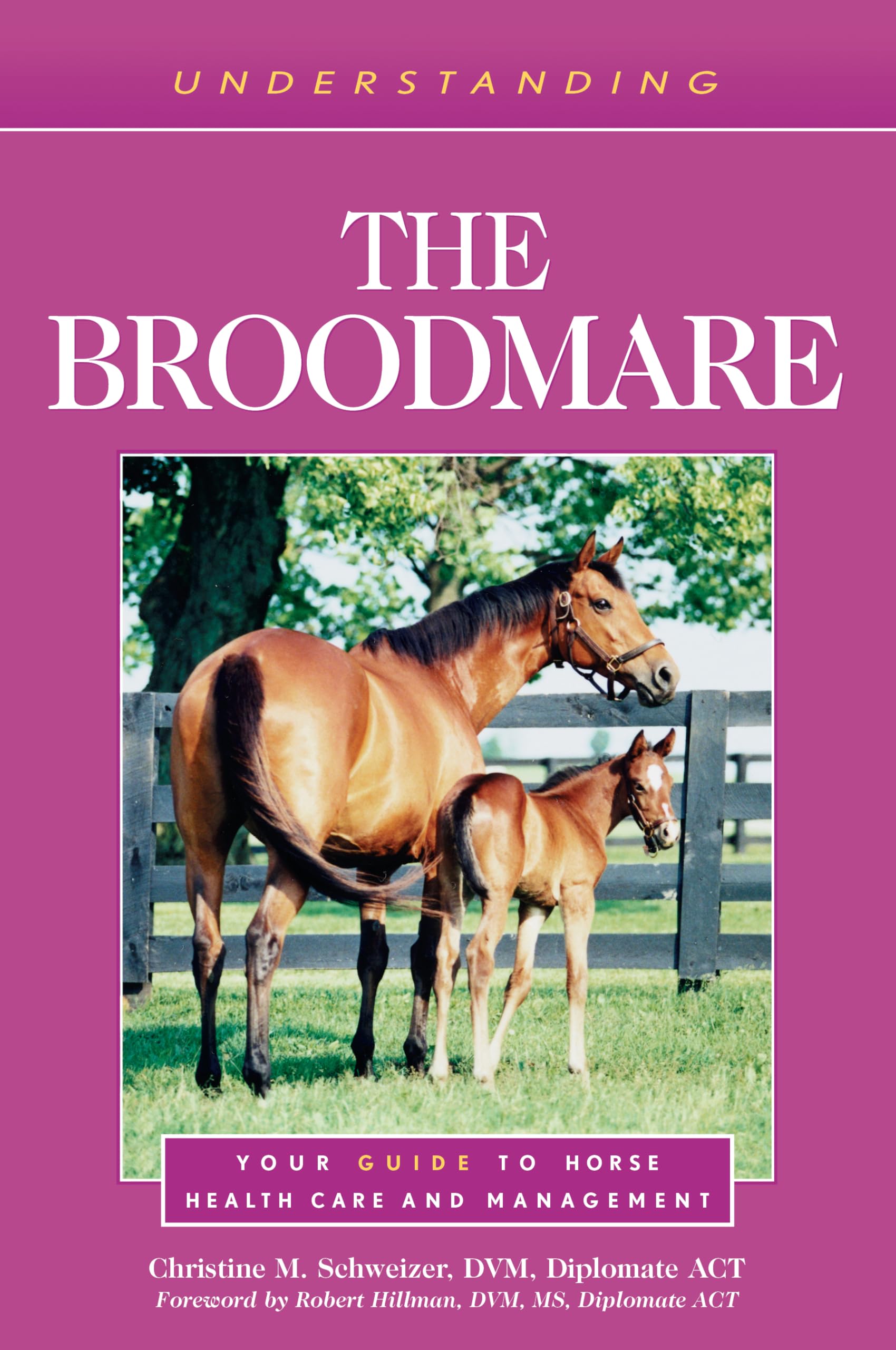 Understanding the Broodmare (Understanding Horse Care)