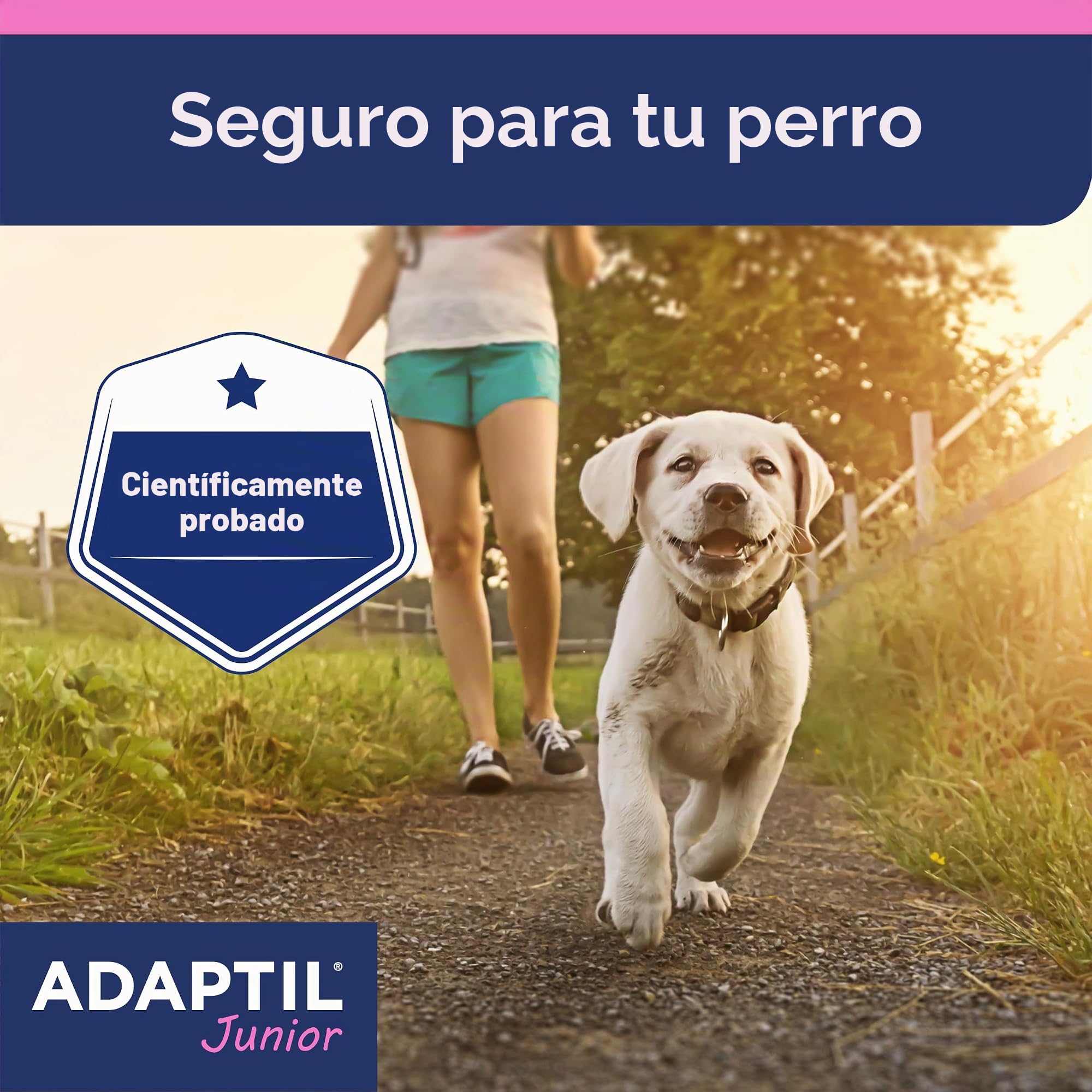 CEVA Adaptil Junior - Collar para Perro. 46,5 cm