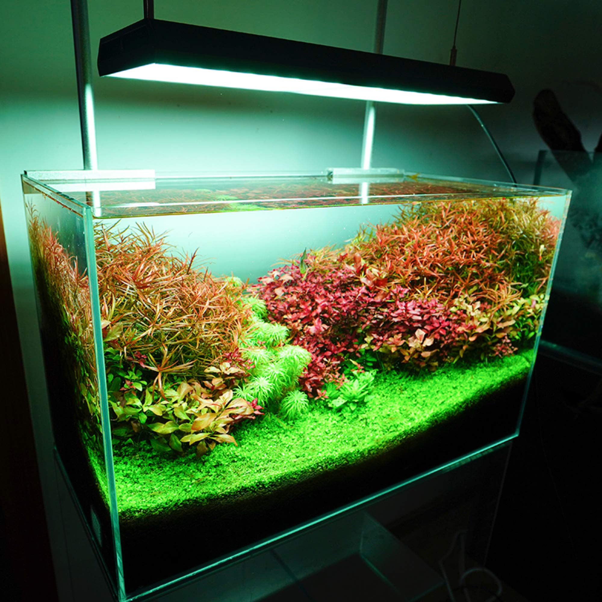 chihiros RGB VIVID60～90cm Chihiros RGB-Vivid LED Lighting System (130 Watt | Suitable