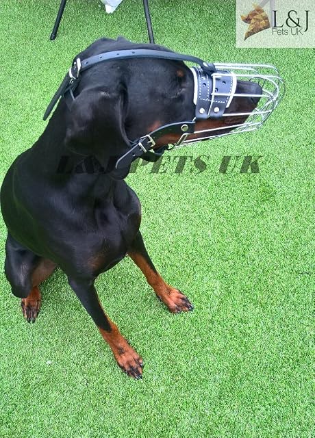 Bozal de perro de alambre metálico para Doberman (4d)