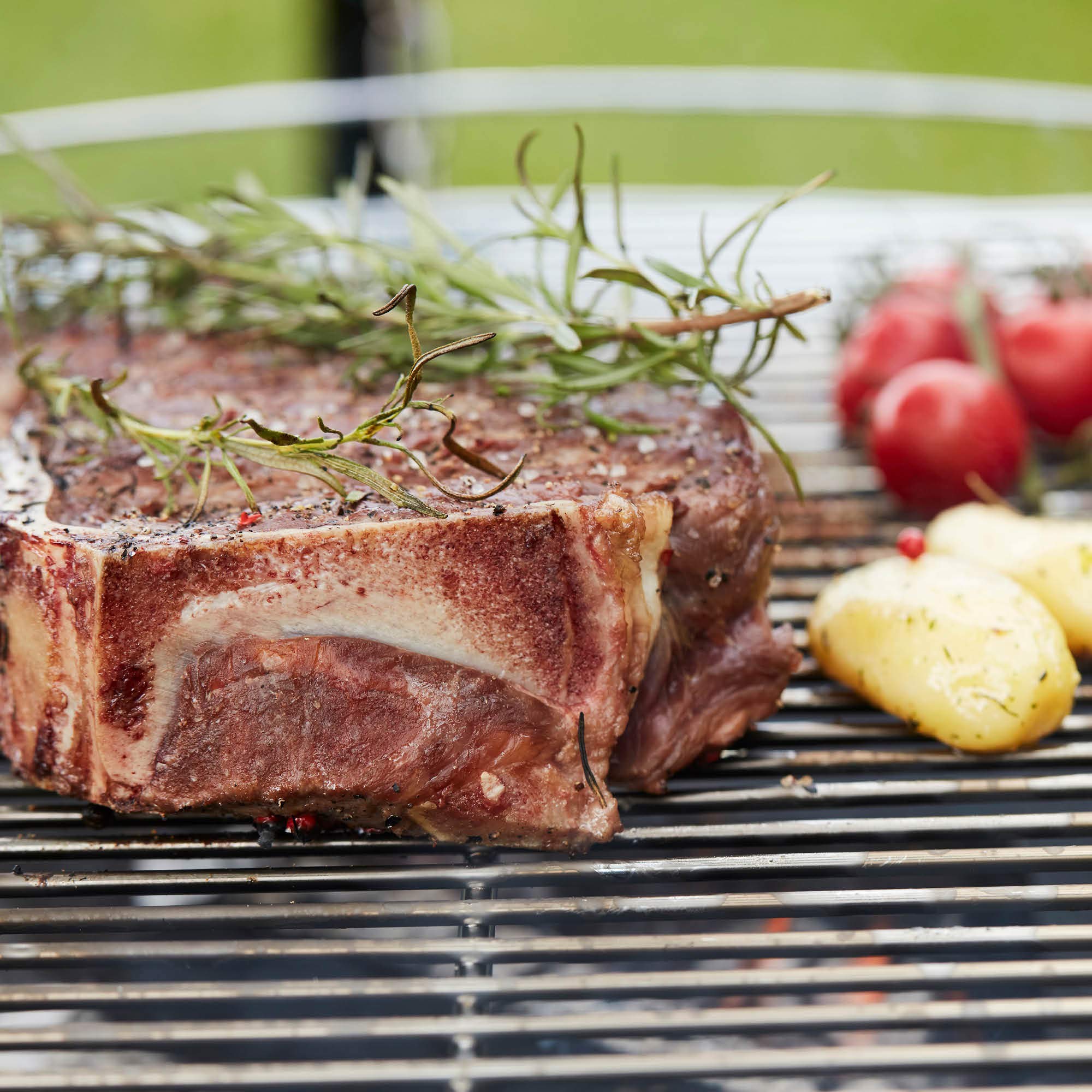 Barbecook Junko Parrilla cromada diámetro 60cm