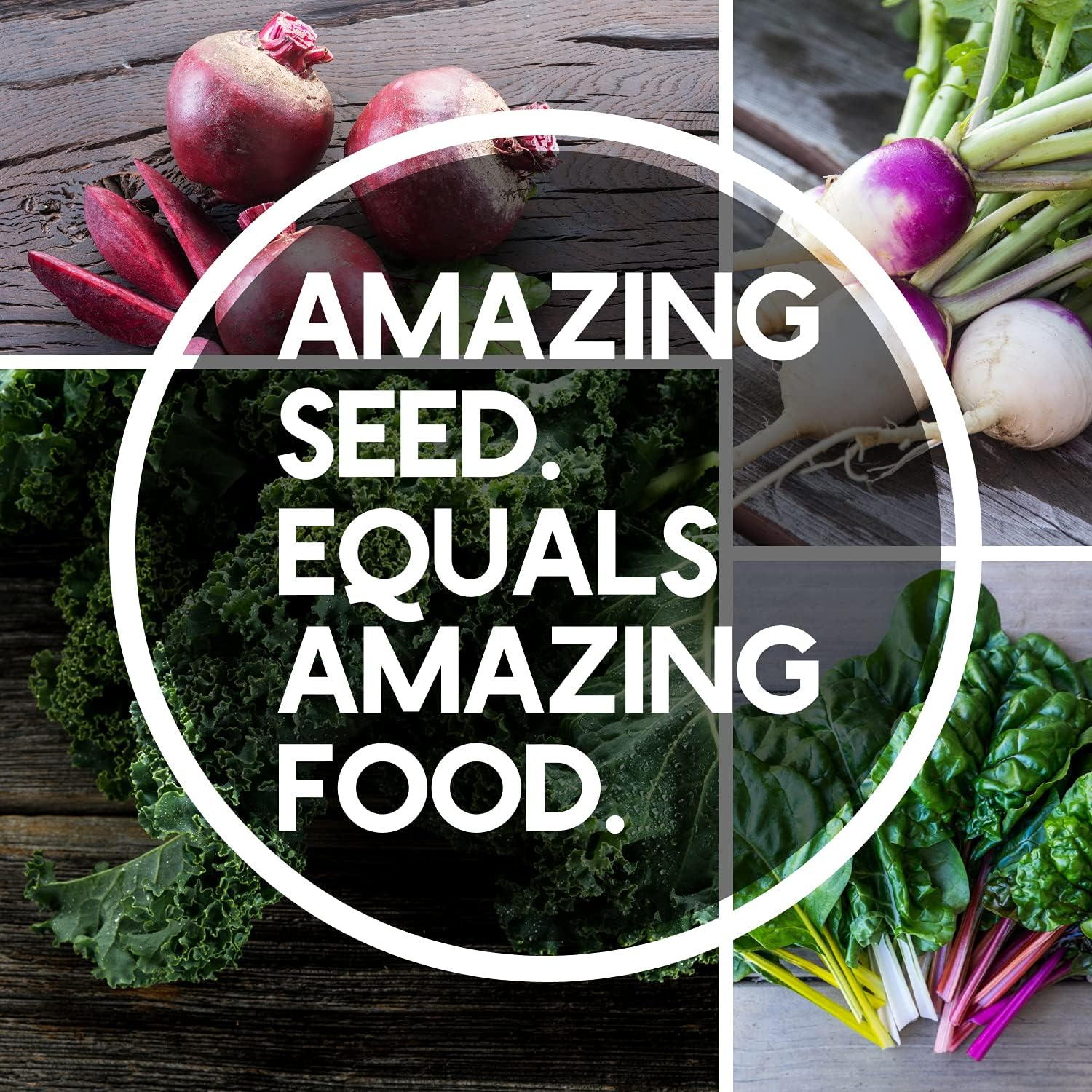 Fall Garden Heirloom Vegetable Seed - ~3,800+ Seeds, 7 Varieties of Seeds to Sow in Fall Months – Turnip, Beet, Chard, Echinacea, Spinach, Brussel Sprouts, and Kale Heirloom Seed for Planting