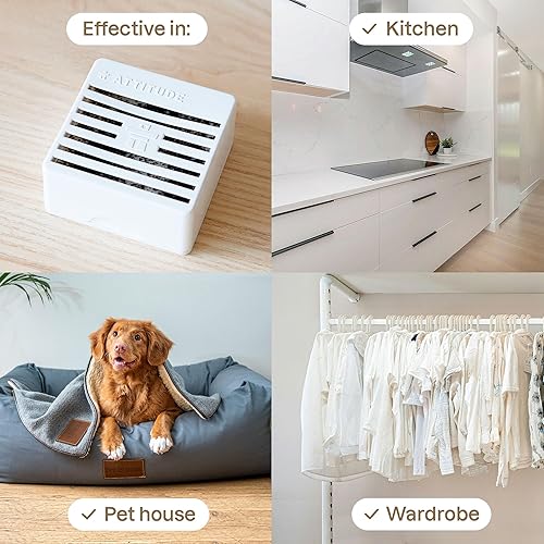 Miniatura 2 de ATTITUDE Purificador de aire, ambientador de carbón activado, removedor de olores, a base de plantas y minerales, vegano, lavanda, 8 onzas (paquete