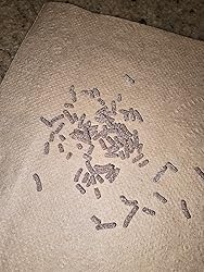 Customer Image, click to open customer review