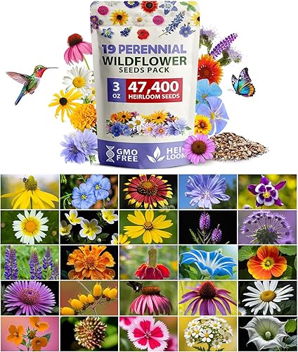 Miniatura 10 de HOME GROWN - 44 000 semillas de flores silvestres, 2 onzas de mezcla de semillas de flores silvestres perennes, para atraer aves y mariposas, 25