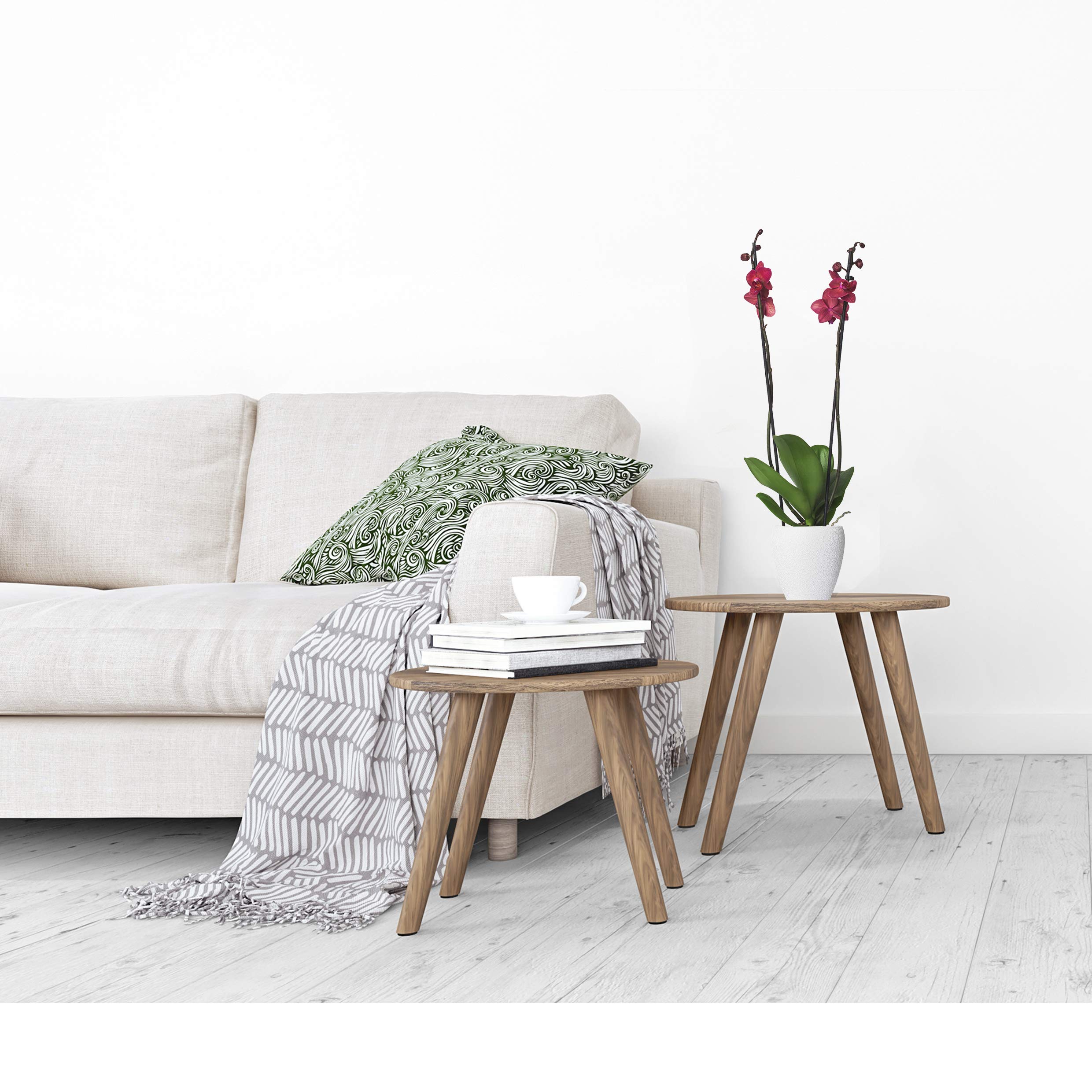 3x echte Phalaenopsis Orchideen 2 Triebe - 50 bis 70cm groß - Schmetterlingsorchidee wunderschöne blühende Tischpflanzen Blumen Geschenkset Naturprodukt
