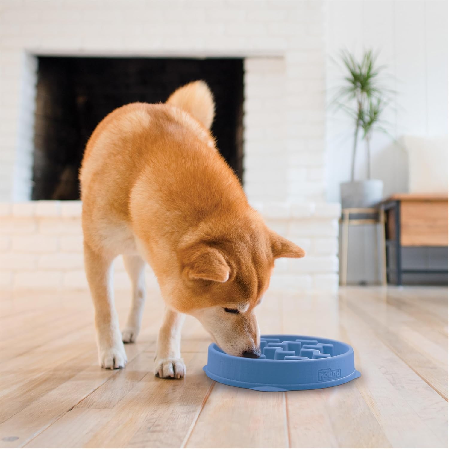 Blue Non-Slip Medium Slow Feeder Dog Bowl