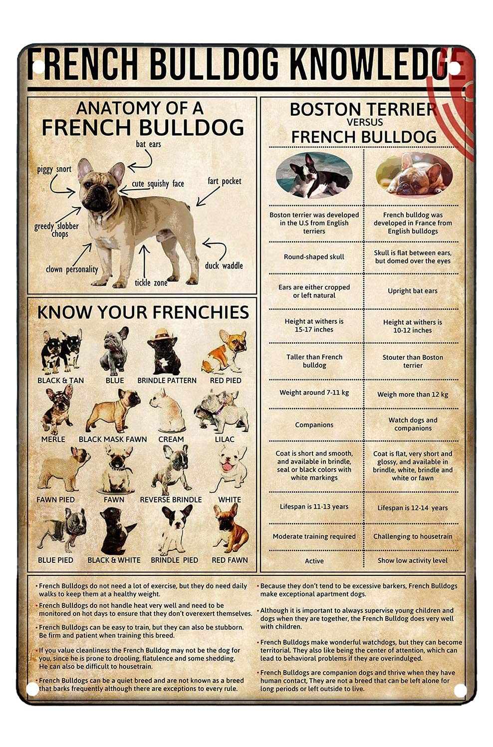 rayprint Metal Aluminum Plaque French Bulldog Knowledge Tin Signs Metal Poster Family Bar Restaurant Garage Cafe Kitchen House Decoration Metal Painting Wall Decor Signs 12x16 Inch