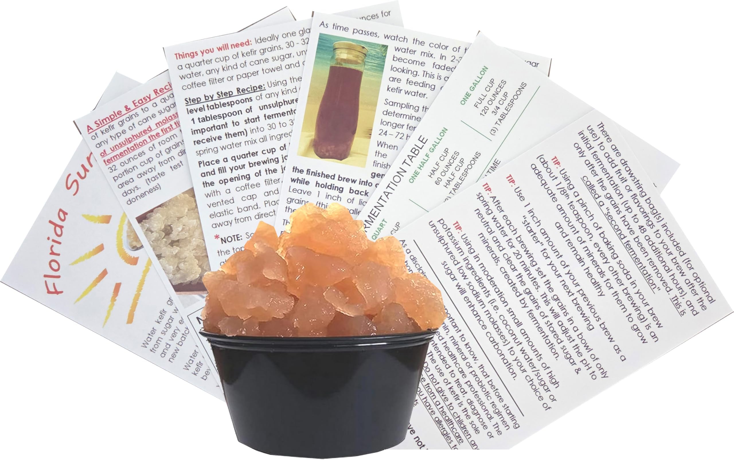 One LARGE PORTION Cup Live Florida Sun Kefir LARGE Water Kefir Grains (Tibicos) Natural Probiotics