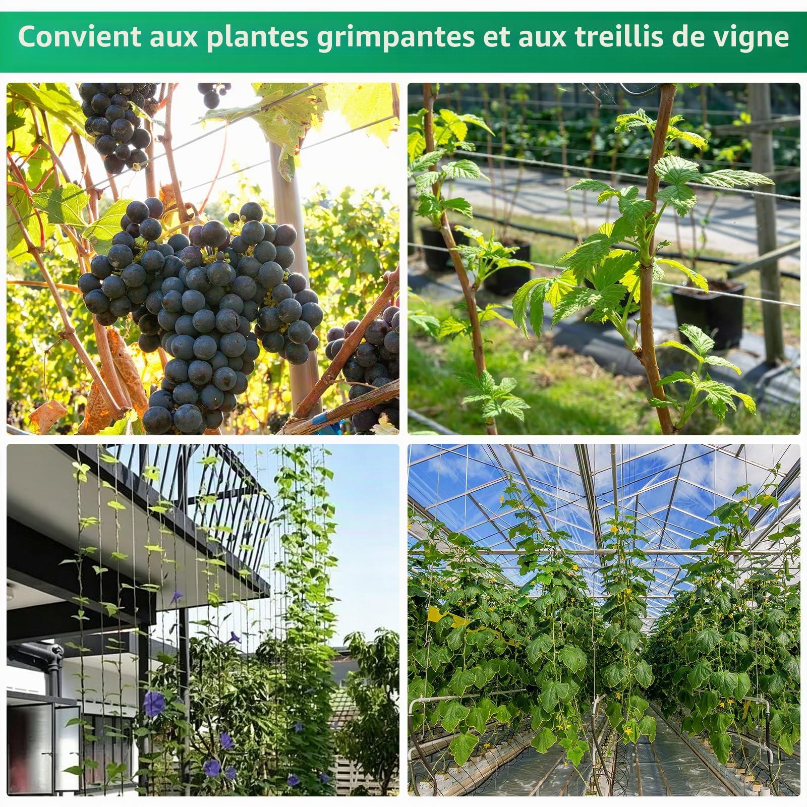 94 Pièces Kit de Câble Métallique en Acier Inoxydable 304, 60M 2 MM Recouvert de PVC avec Tendeur Cable Inox, pour Plantes Grimpantes, Clôture, Treillis, Étendoir Extérieur, Suspension de Luminaires