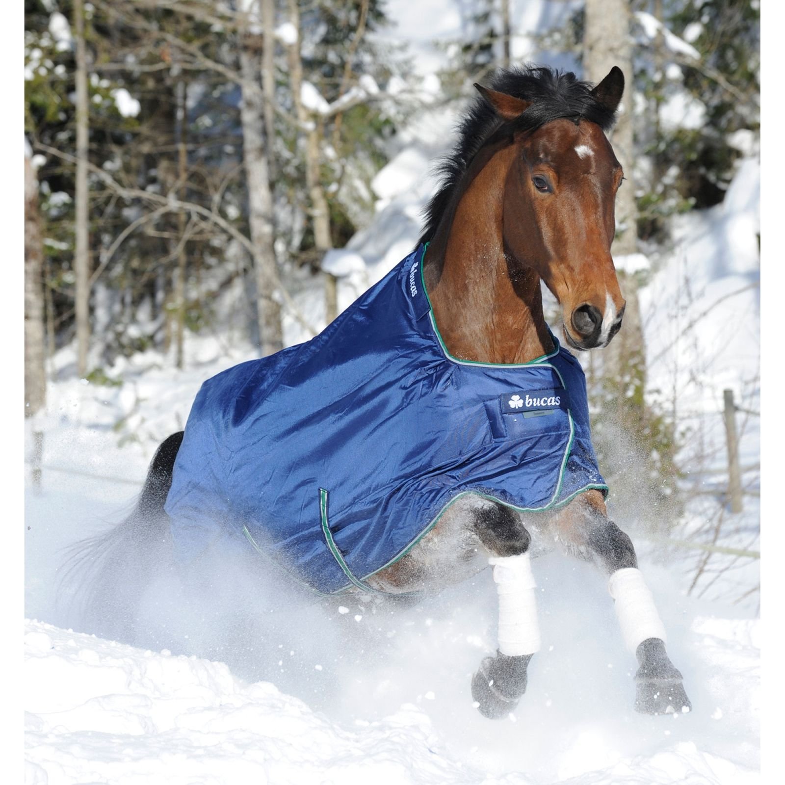 Smartex Extra Turnout Blanket