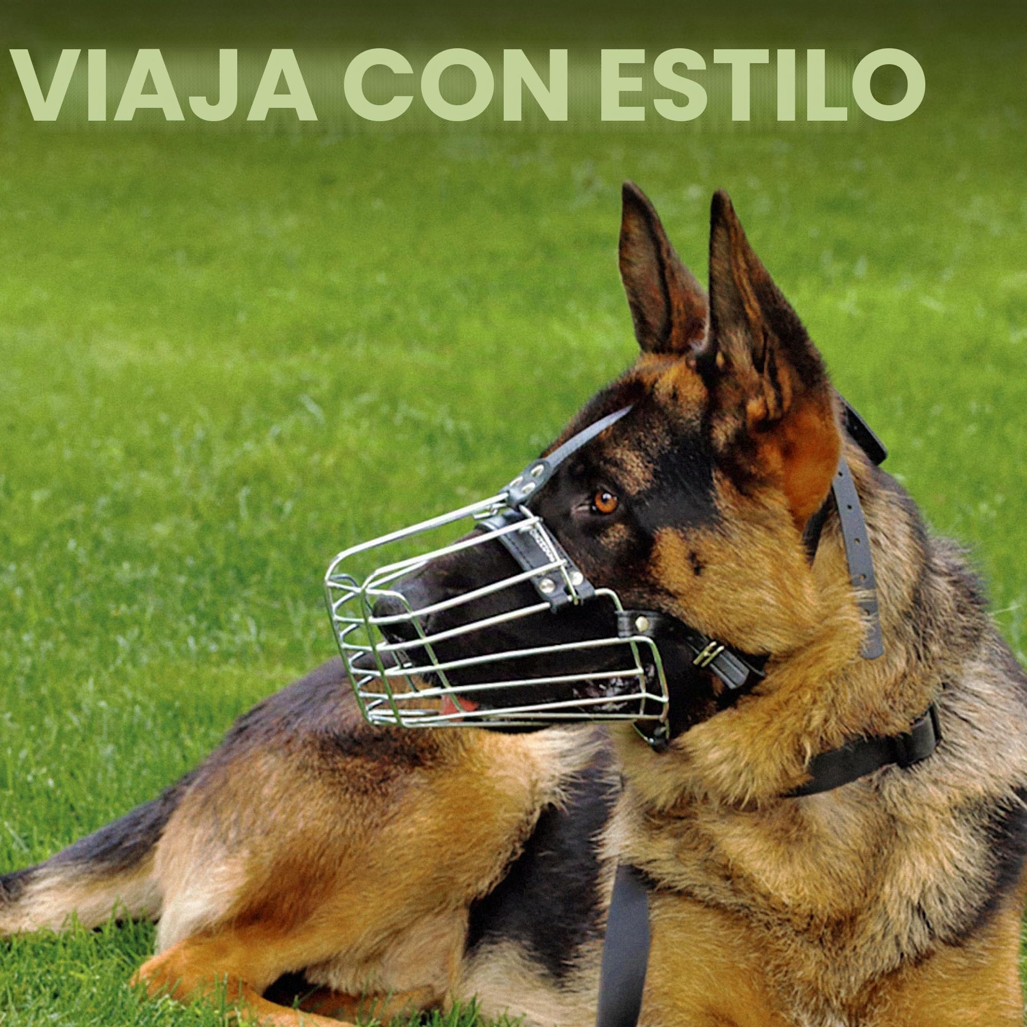 BRONZEDOG Bozal de Alambre para Perros de Pastor alemán para Perros medianos y Grandes, Cesta de Metal Duradera Ajustable para morder, Masticar ladridos (M)