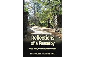 Reflections of a Passerby: Jesus, Jung, and the Power of Choice