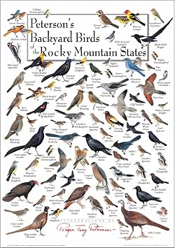 Earth Sky + Water - Petersons Backyard Birds of the Rocky Mountain States - Poster