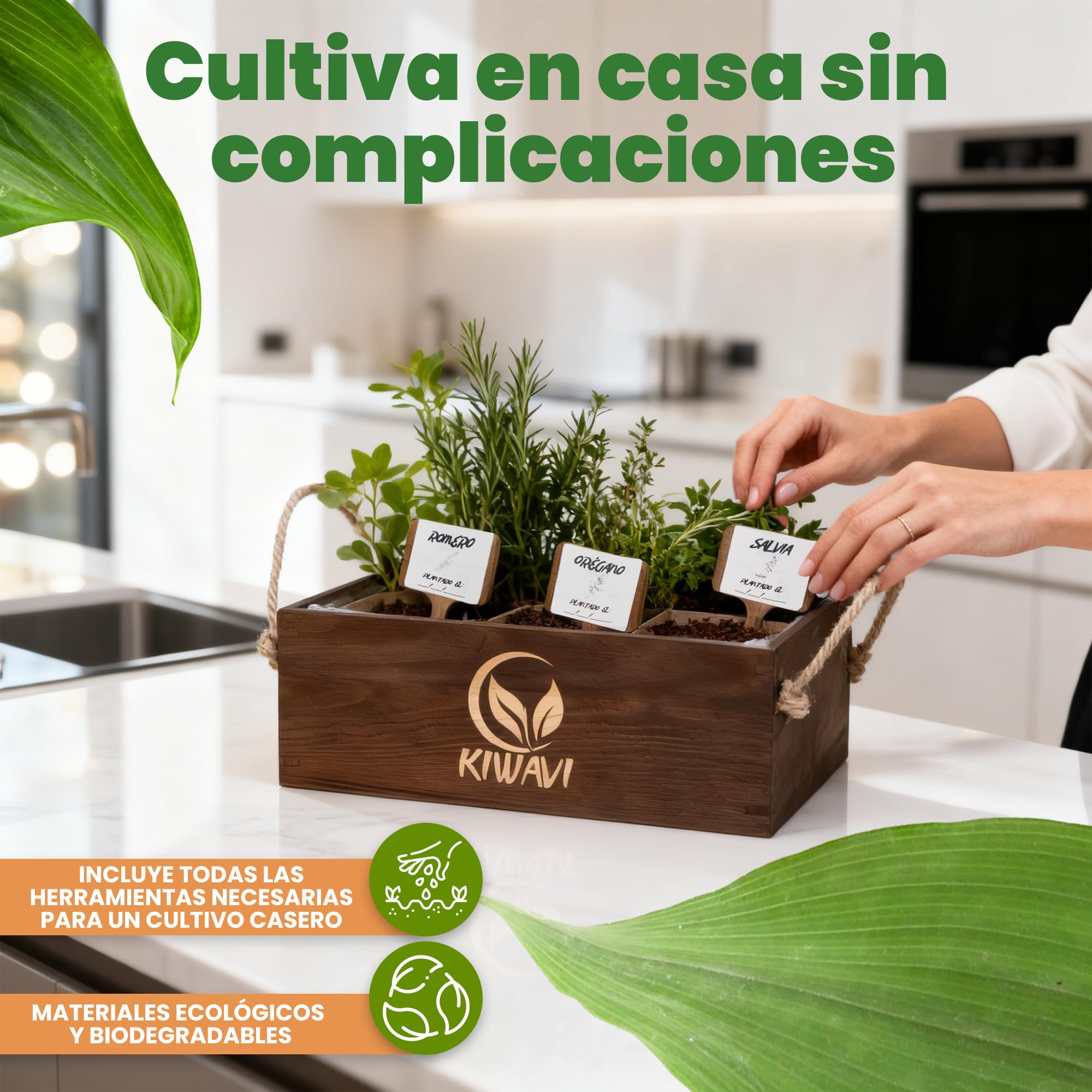Kit de Cultivo de Plantas Aromáticas Culinarias - Mini Huerto Urbano para Interior con Romero, Menta, Albahaca Morada, Cebollino, Salvia y Orégano | Huerto en Casa