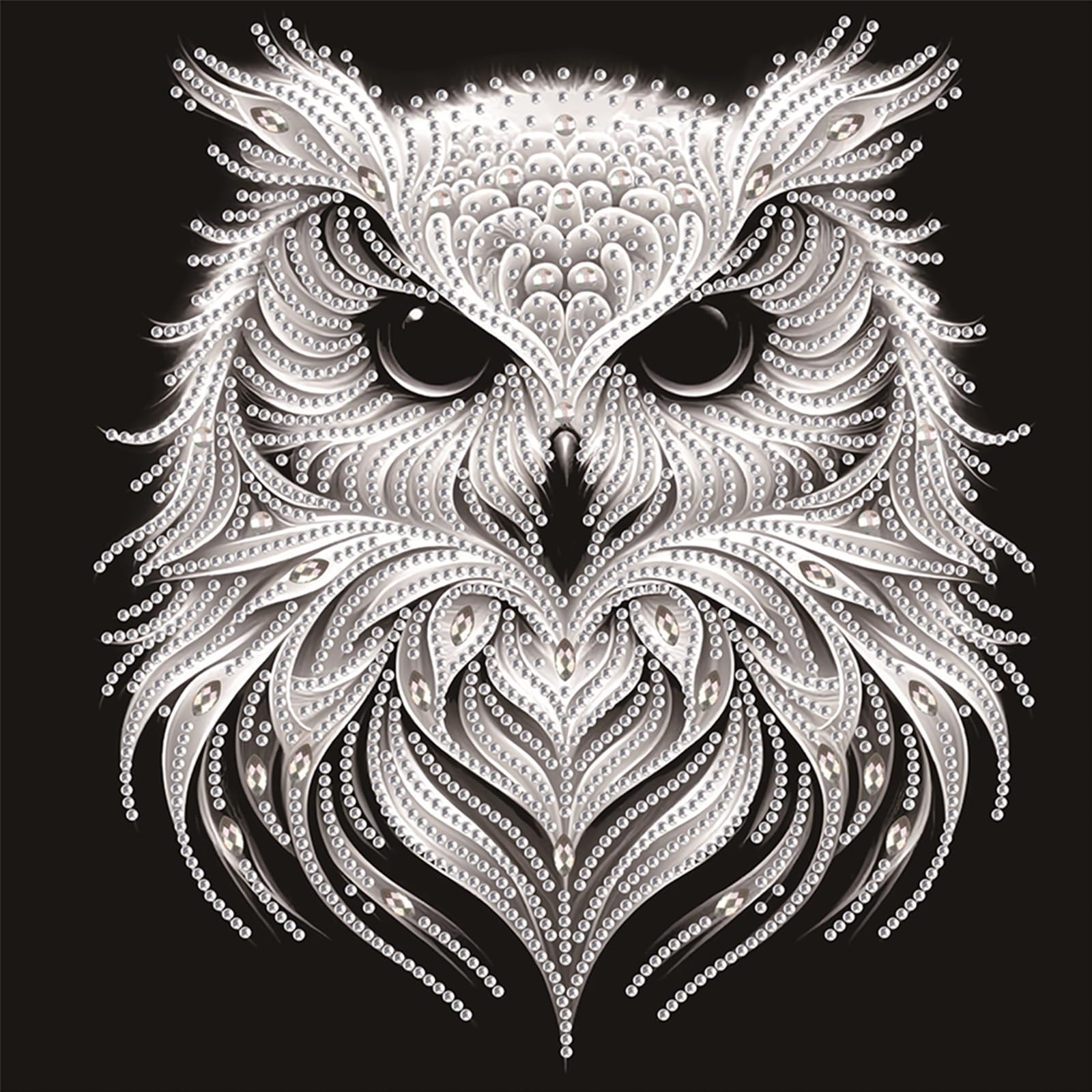 Owl Head 5D DIY Diamond Painting Kit 30x30cm for Adults & Beginners