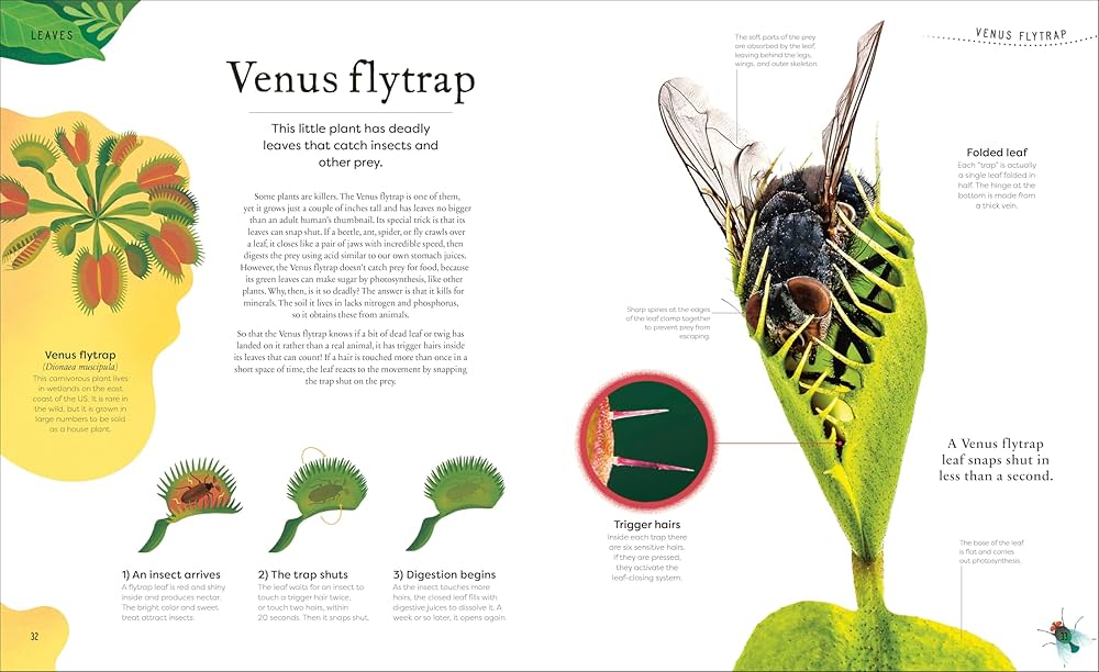 The Secret World of Plants: Tales of More Than 100
