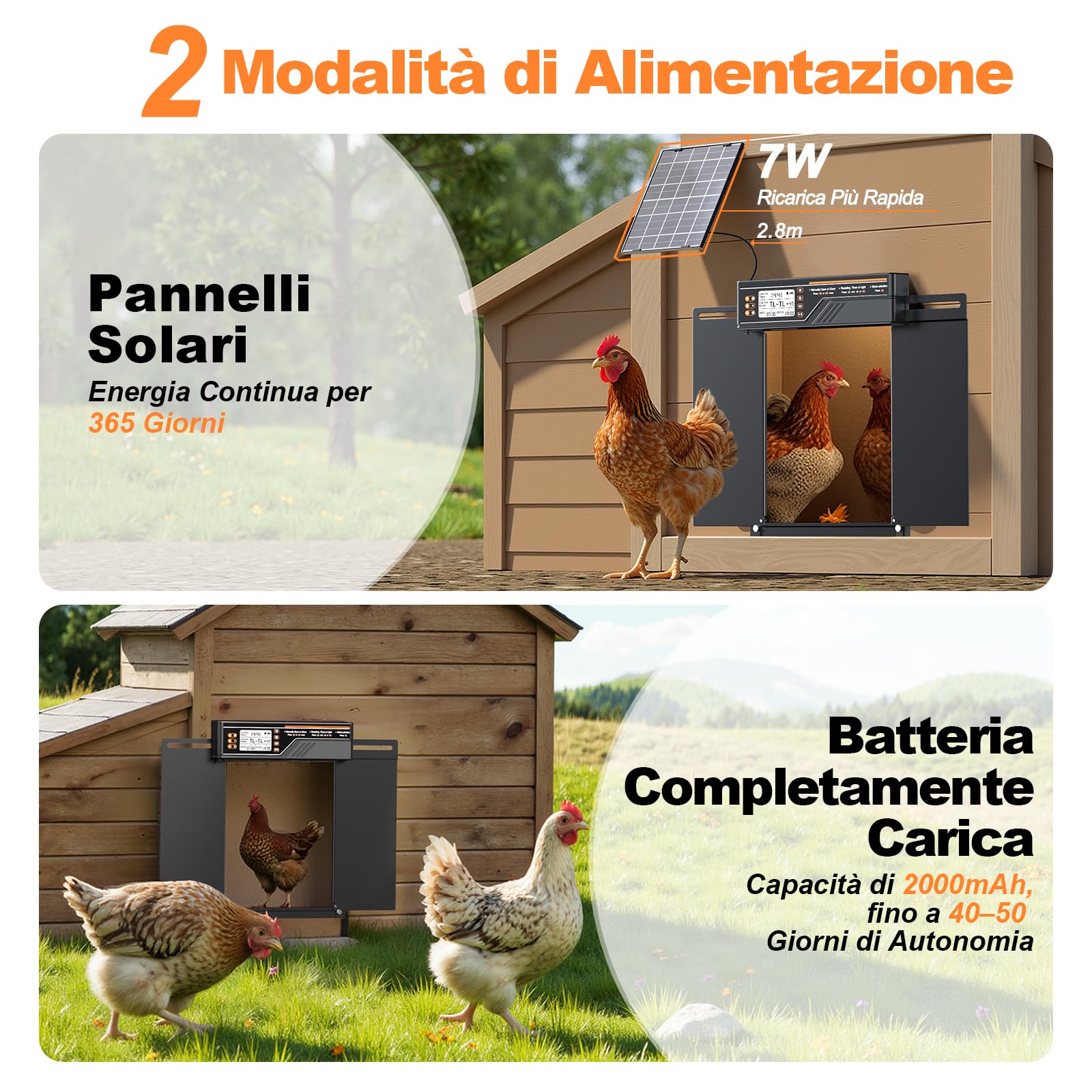 Porta Automatica per Pollaio Grandi Dimensioni, 4 Modalità | Porta Pollaio Automatica Alluminio con Pannello solare da 7 W, con timer e sensore di luce, Ampio display LCD, con telecomando (Nero)