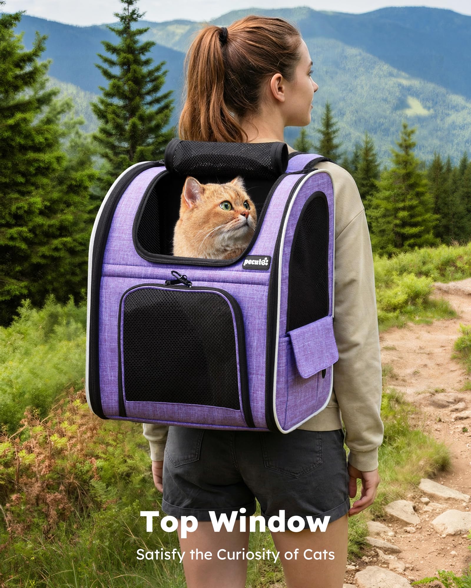 https://m.media-amazon.com/images/I/81YBpGUU9lL.jpg