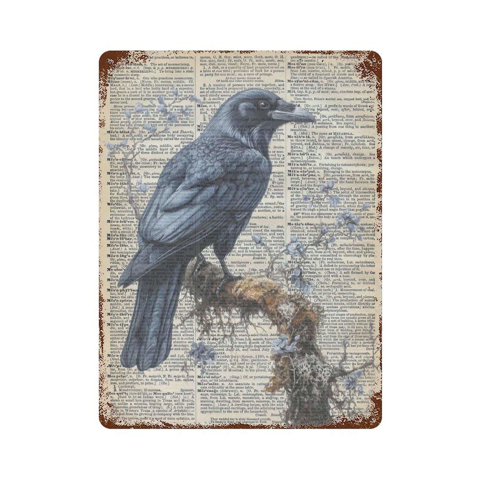 xiaoxiaoshen Raven Encyclopedia Vintage Nature Cottagecore Decor Scientific Bird Illustration Wall Decor Art Metal Tin Poster Modern Home Decor Art Home Bar Shop Decorations Vintage Sign 40x30cm