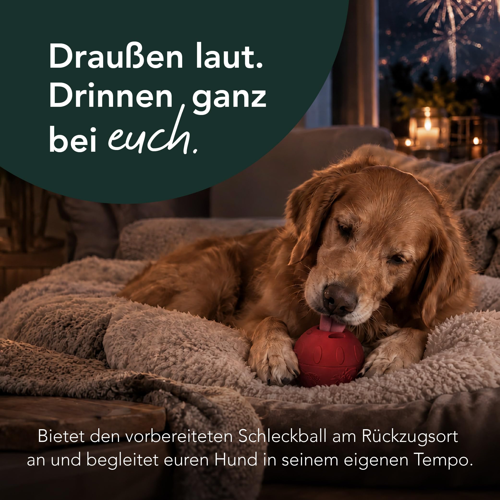 12er Klassik (4X Huhn, 4X Rind, 4X Lamm) + SmoothieDog Schleckball-Set + Relaxio Kräutertropen - Hundesmoothie, Silvester mit Hund, Hund entspannen