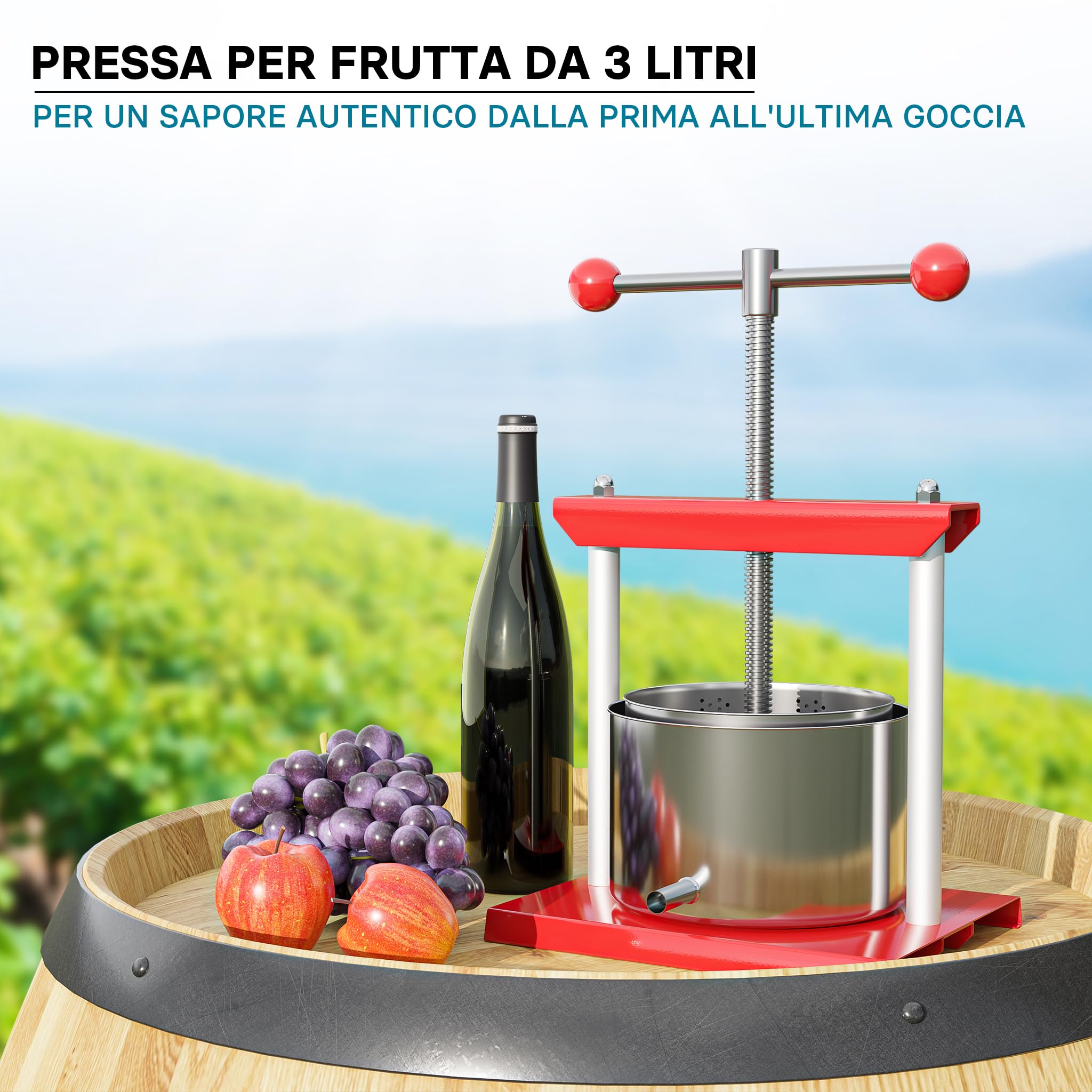 Wiltec Torchietto per frutta in acciaio inox 3 litri Pressa manuale frutta