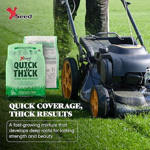 Miniatura 7 de Mezcla de semillas de césped X-Seed Ultra Premium, rápido y grueso, North