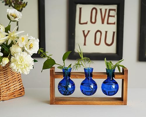 Miniatura 20 de Kingbuy Terrario para plantas con soporte de madera, maceta de vidrio, propagación de escritorio, florero de 3 bombillas, soporte de metal, estante