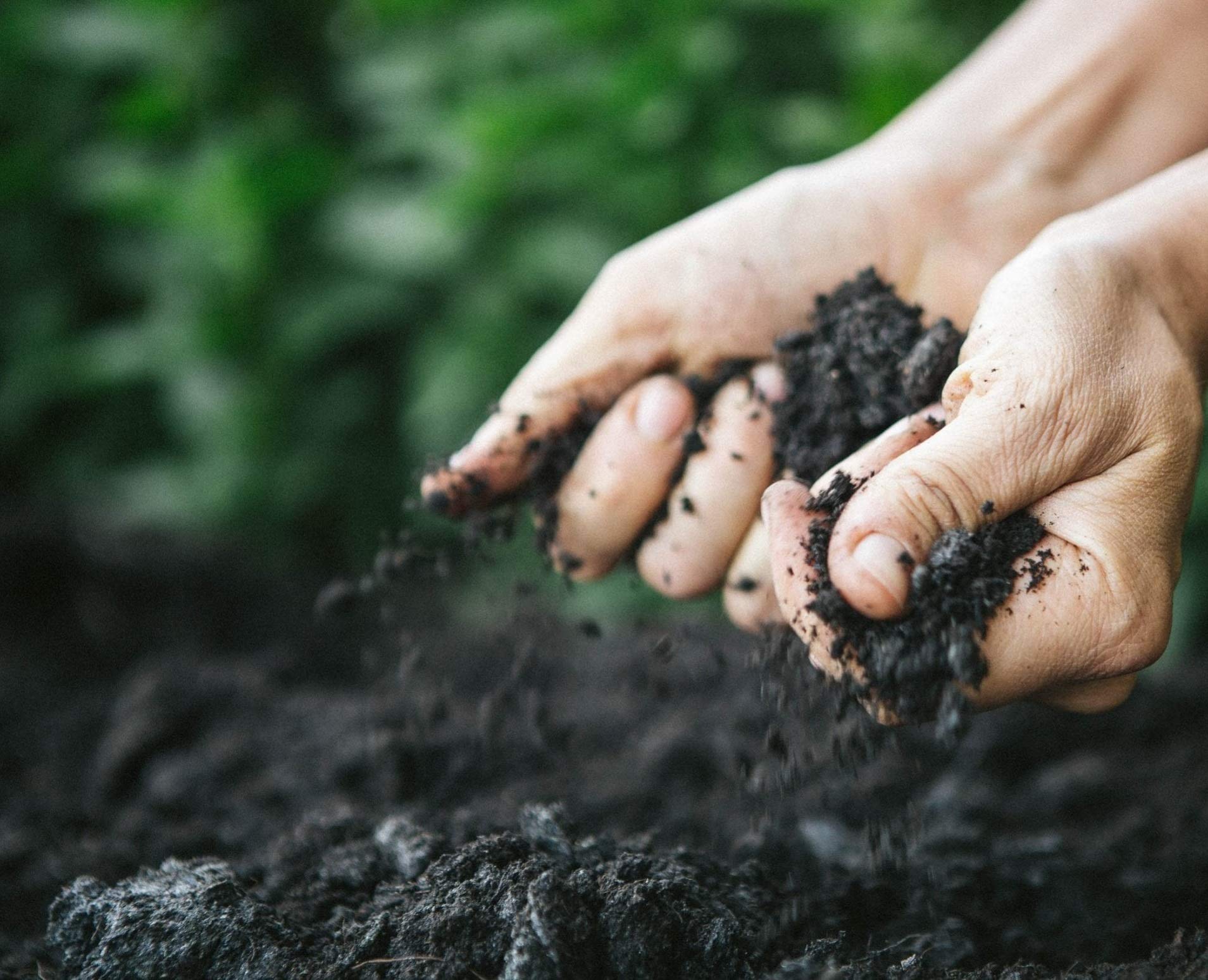 SAPRETAILER Potting Soil Mix Organic Manure for Gardening 15Kg (B087QTKW1X) Amazon Price History, Amazon Price Tracker
