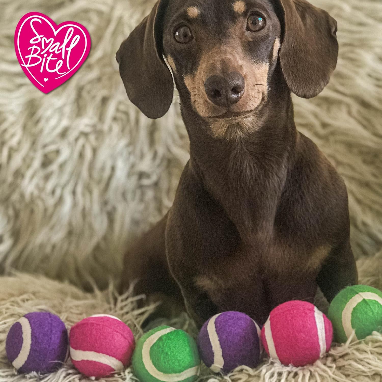 Ancol Small Bite Tennis Ball Assorted, 4.5 cm