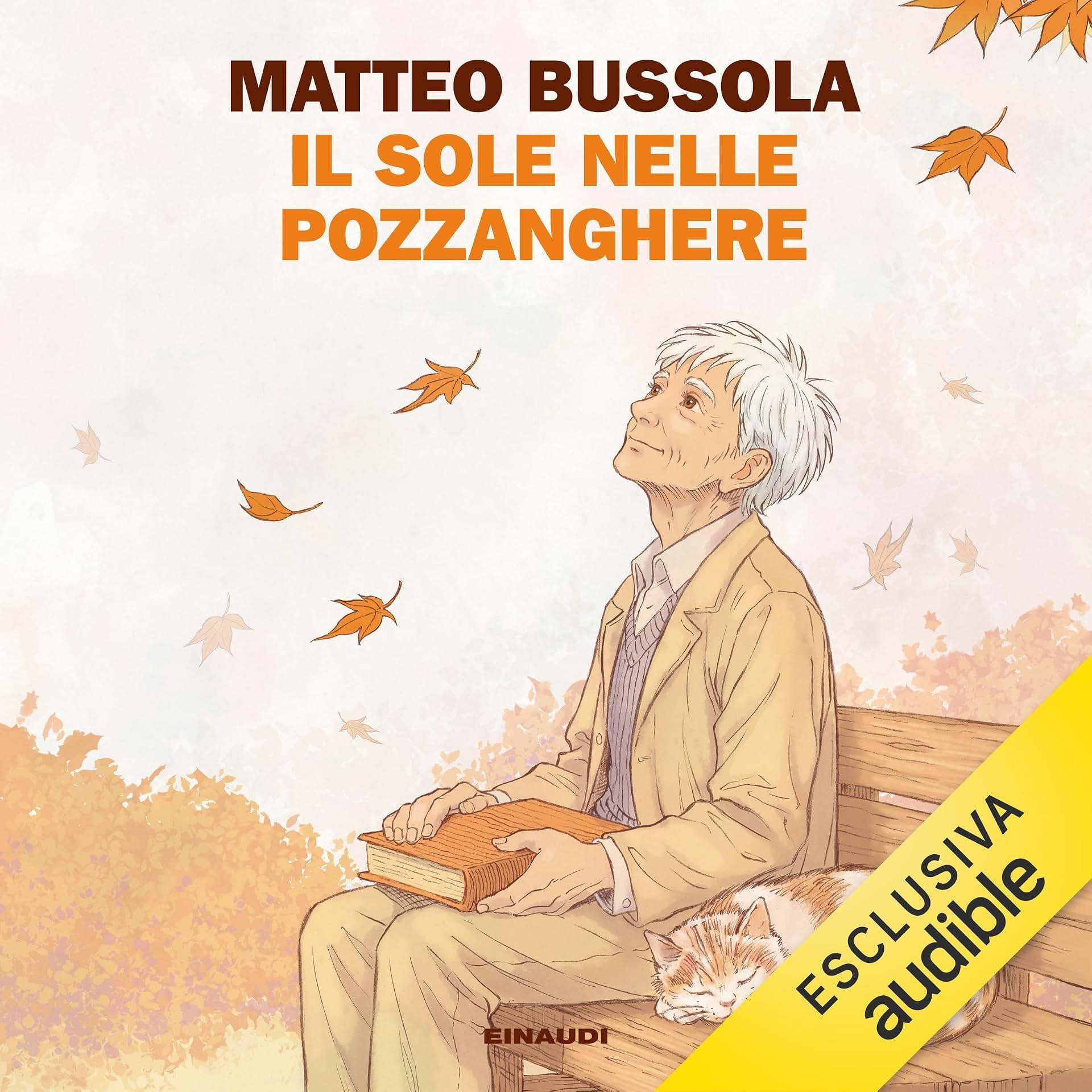 cover-image