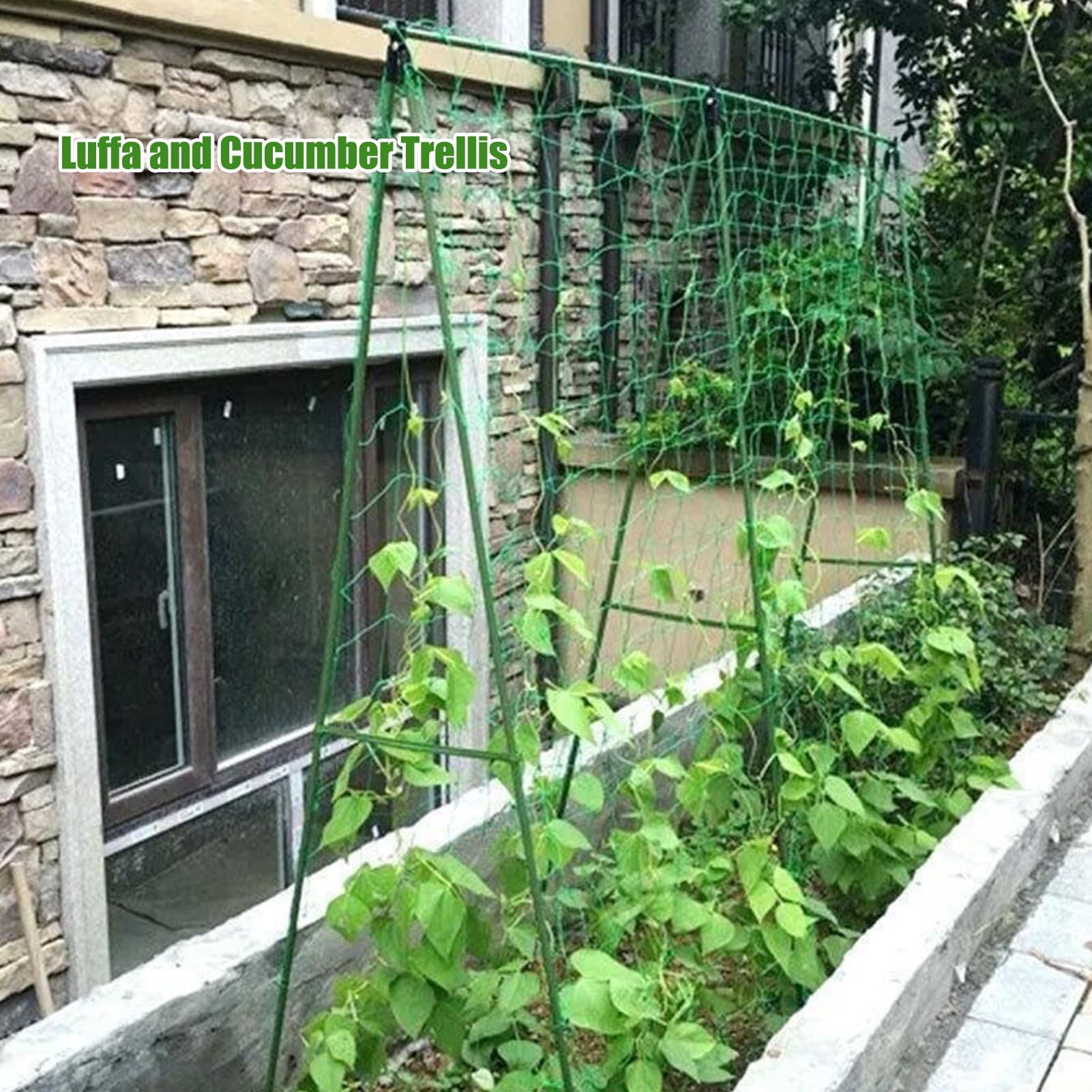 Gurken-Spalier, Tomatenkäfige, Rankgitter, Pflanzenstützstäbe | Ein Rahmengitter für Klettern Von Pflanzen Im Freien für Tomaten, Trauben, Bohnen(16mm,47.2x47.2in/120x120cm)