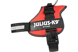 Julius K-9 Powerharness: Essential canine gear for safety, comfort, and unparalleled levels...