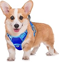 Vista 21 de BARKBAY Arnés para Perro Sin Tirones Talla Grande Arnés Reflectante para Perro con Clip Frontal y Asa de Control Fácil para Caminar Entrenar Correr