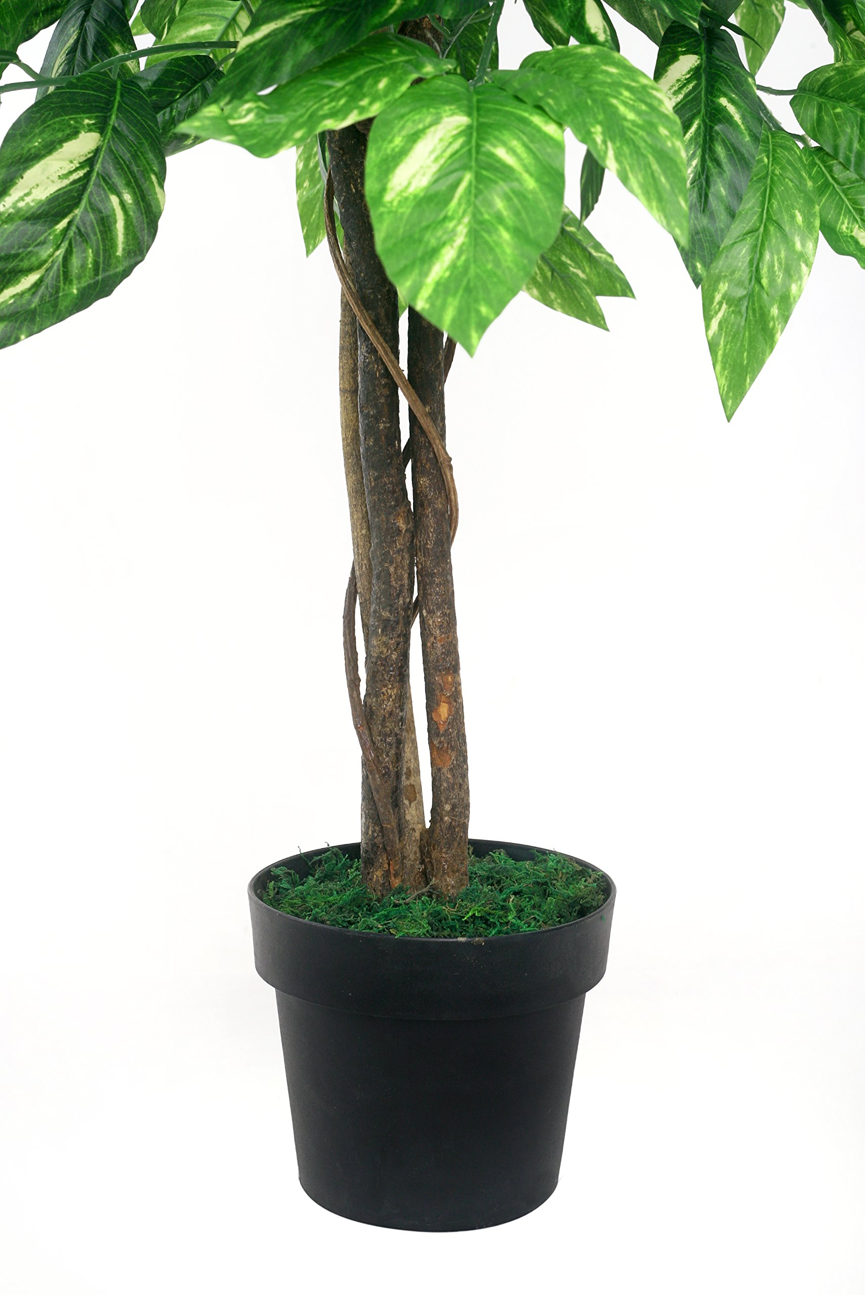 Amazon.de: knstlicher Dieffenbachiabaum 1,80 m Kunstbaum Kunstpflanze  Echtholzstamm - McPalms