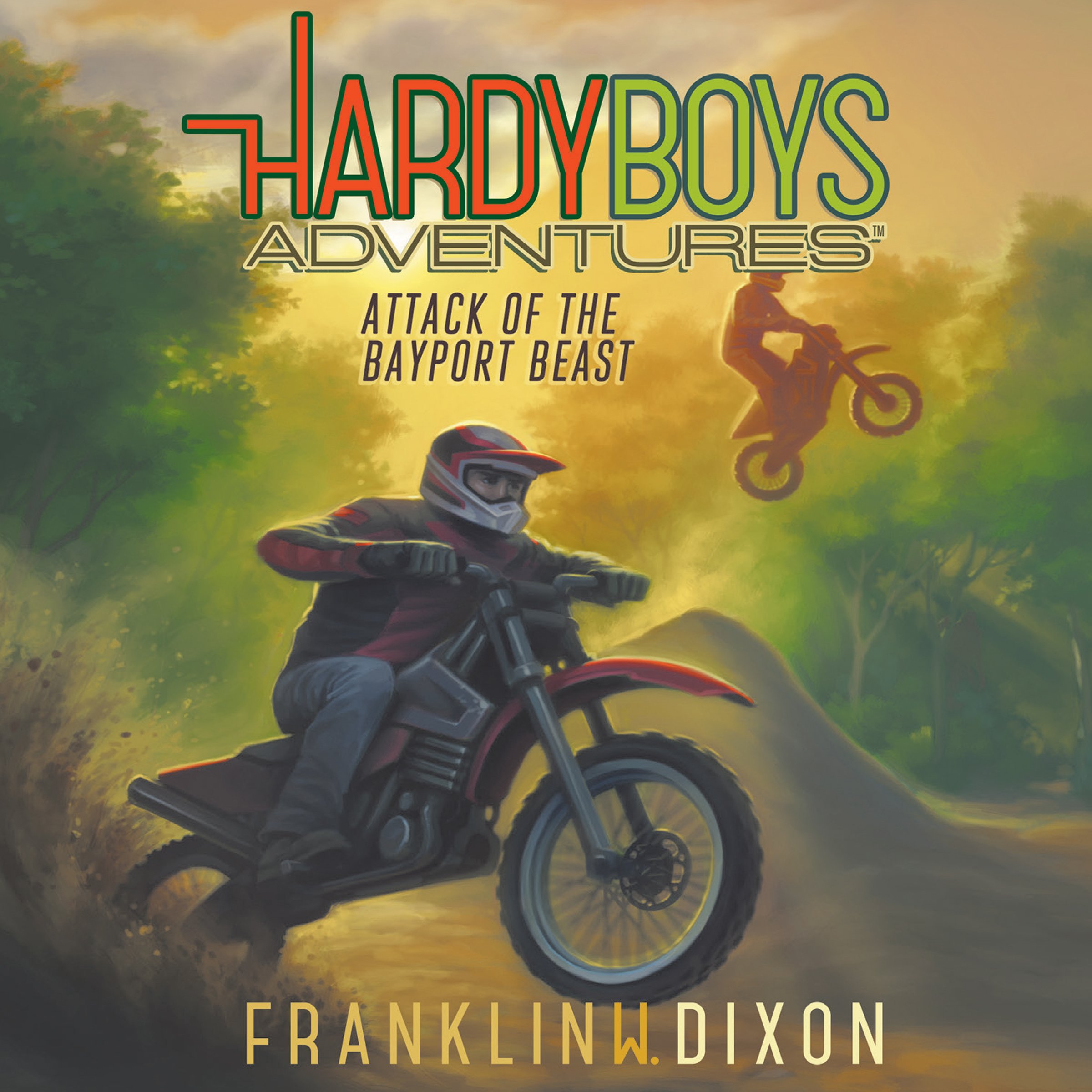 Cover art for Attack of the Bayport Beast
