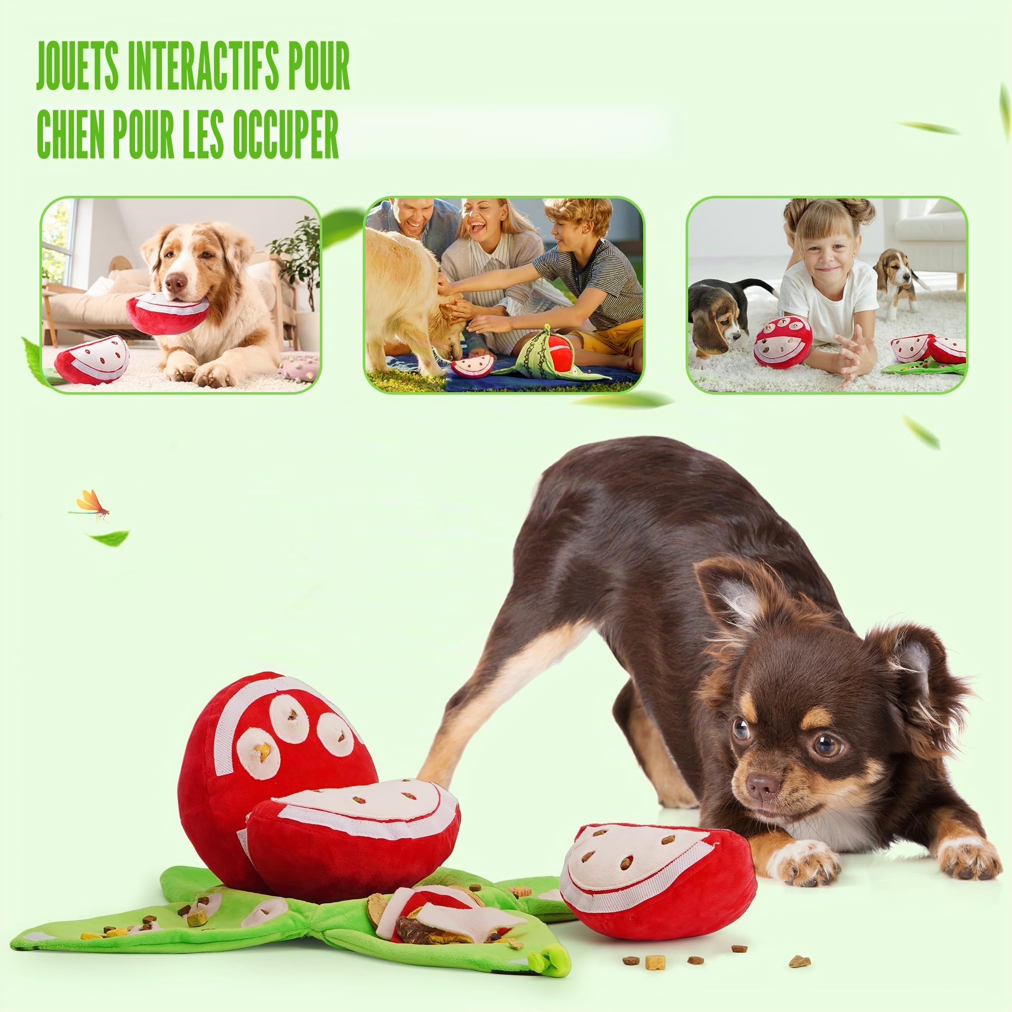 Nocciola 5 en 1 Jouet Intelligence Chien pour Jeu Chien Cache Croquettes | Jouet Chien Occupation Interactif avec Couineur et Papier Froissé, Jeu de Fouille pour Chien et Chiot