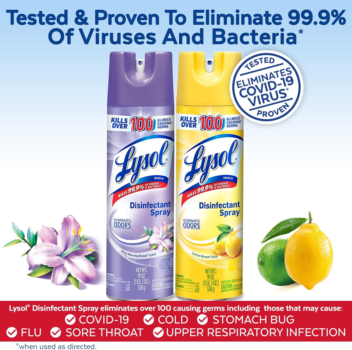 Lysol Disinfectant Spray Bundle, Sanitizing And Antibacterial Spray, For Disinfecting And Deodorizing, contains x2 Lemon Breeze 19 Fl Oz and x2 Early Morning Breeze, 19 Fl Oz, Packaging May Vary