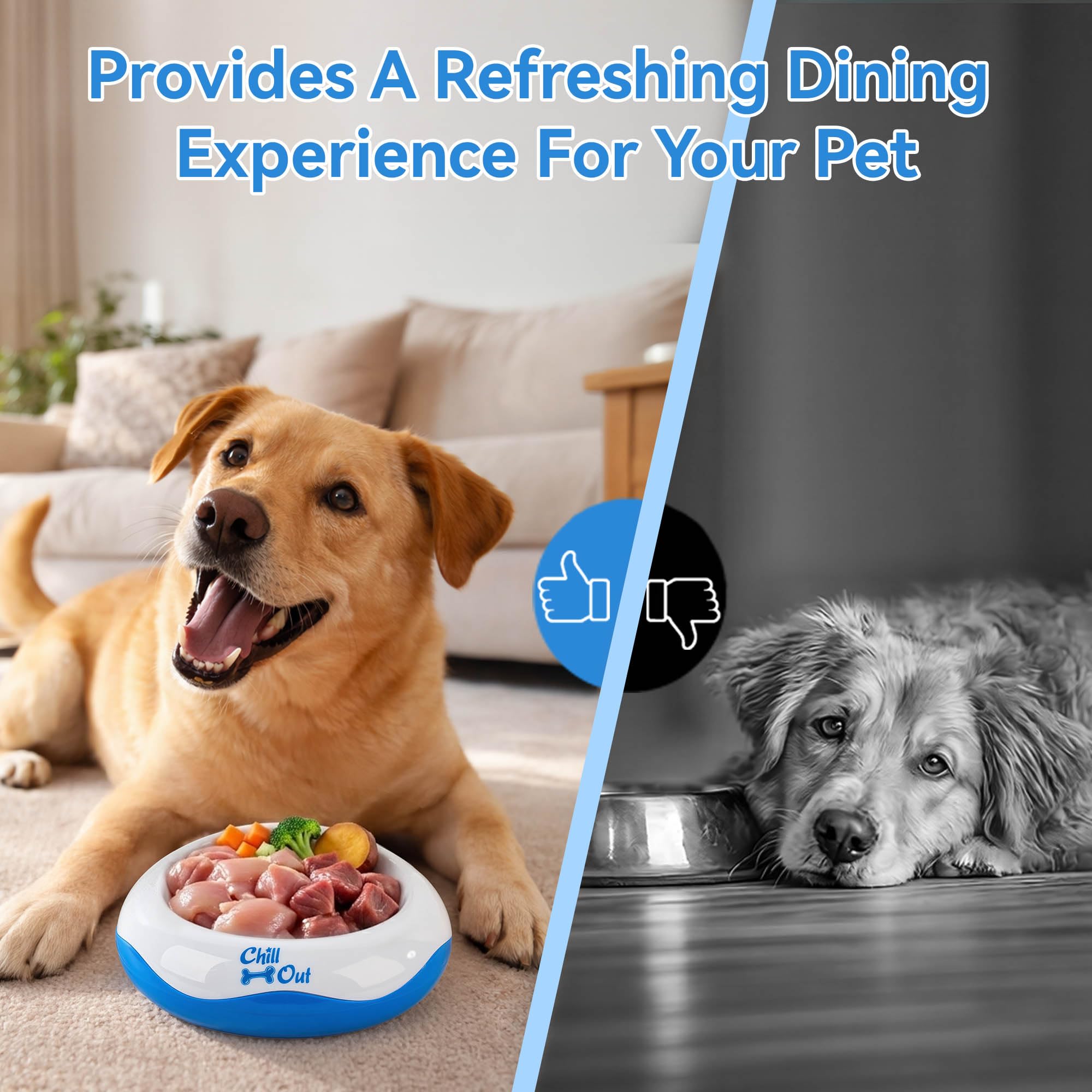 All For Paws Bebedero O Comedero Refrescante Chill out, 500 ml