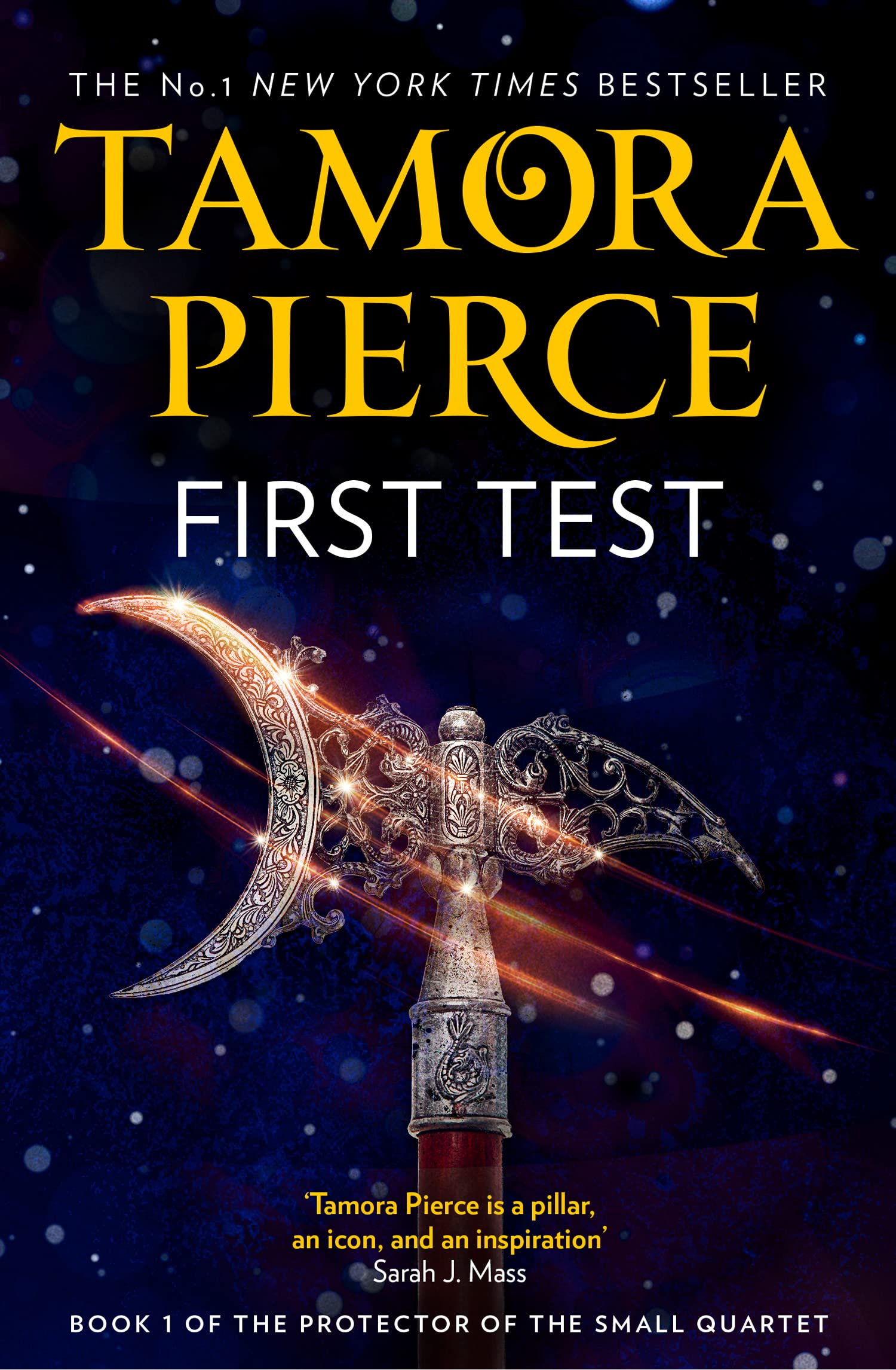 First Test: An enchanting fantasy novel: Book 1 (The Protector of the Small Quartet)