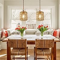 Vista 7 de Plug in Pendant Light with 6W LED Bulb Warm Light(3000K) Dimmable Switch Cute Rattan Hanging Lamp Cord 15ft Hand Woven Plug in Chandelier Boho