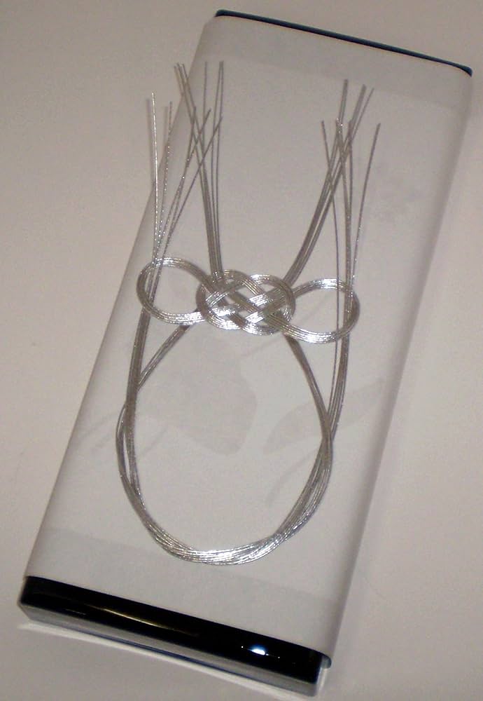 Amazon.co.jp: 玉初堂のお線香 瑞雲 短寸10把入 塗箱 #42