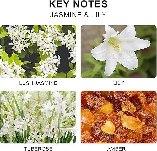 Miniatura 2 de L'odeur Vill Juego de difusor de varillas de 6.7 onzas, difusor perfumado de jazmín y lirio con 6 varillas difusoras de aceite, difusor de varillas
