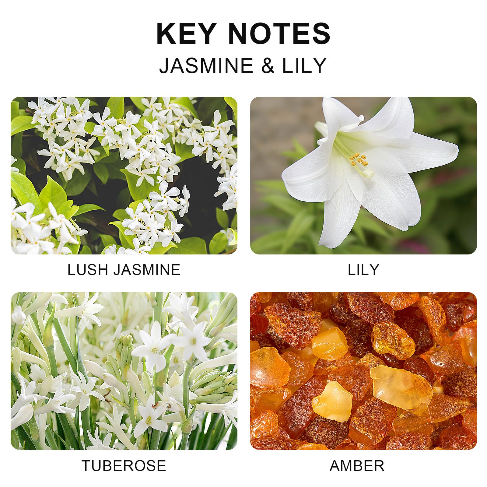 L'odeur Vill Duftstäbchen Diffuser 100 Ml – Jasmin & Lilie, Langanhaltende Raumdüfte Für Zuhause