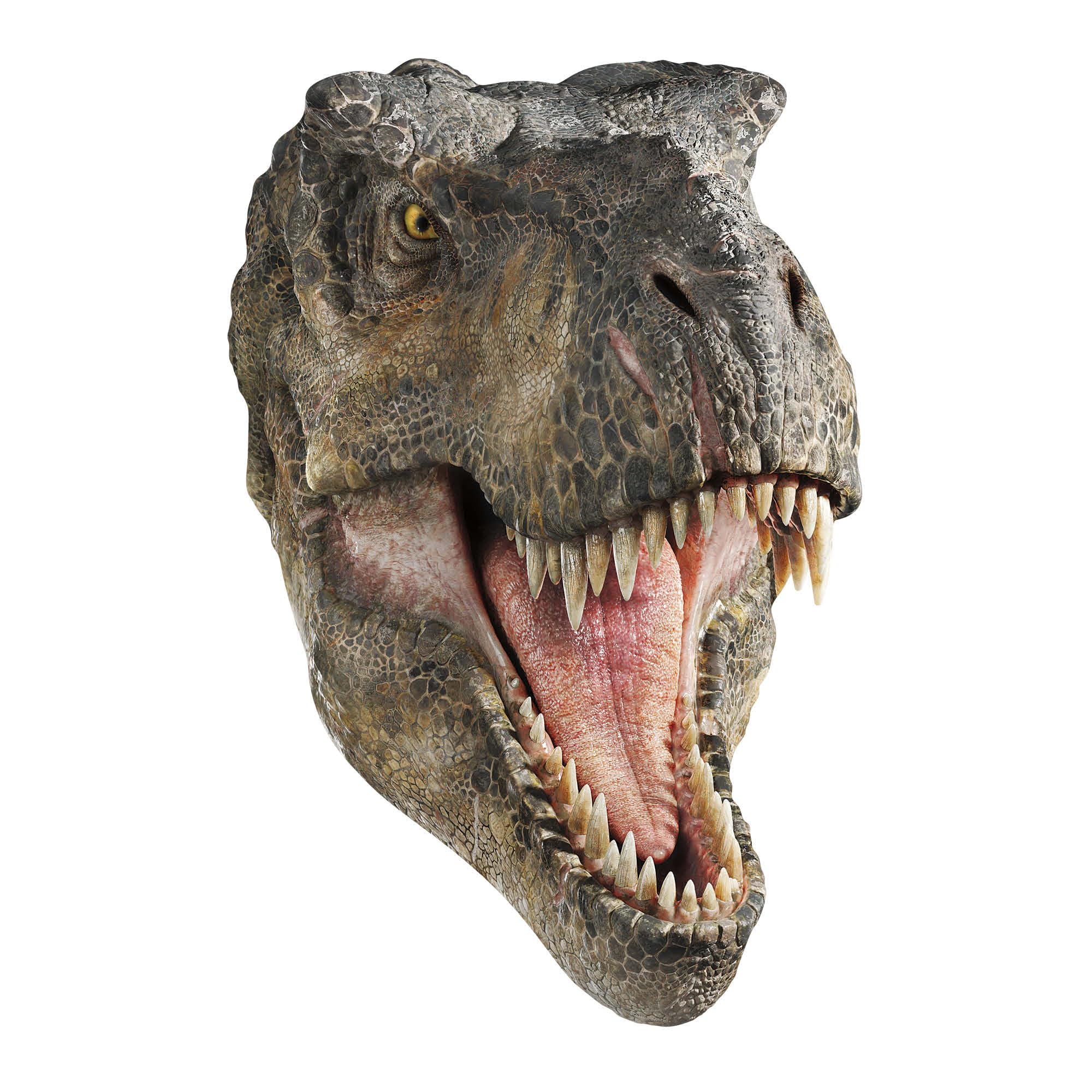Star Cutouts WA058 Tyrannosaurus Rex Wall Art Jurassic World Rebirth Cardboard Cutout 90cm β Dinosaur Party Decoration & Kids Room Display