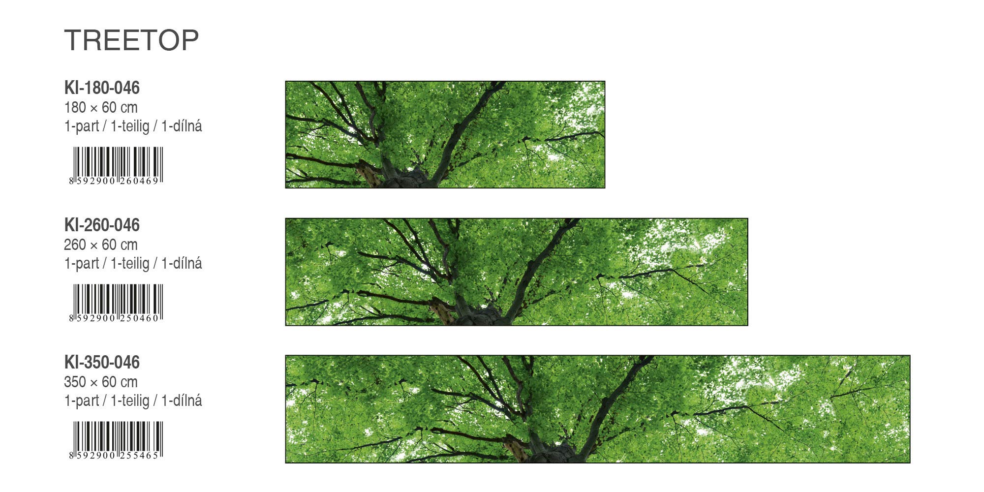DIEX LINE Sticker Crédence - Cuisine Ur En Bois 180 X 60 C | Ur