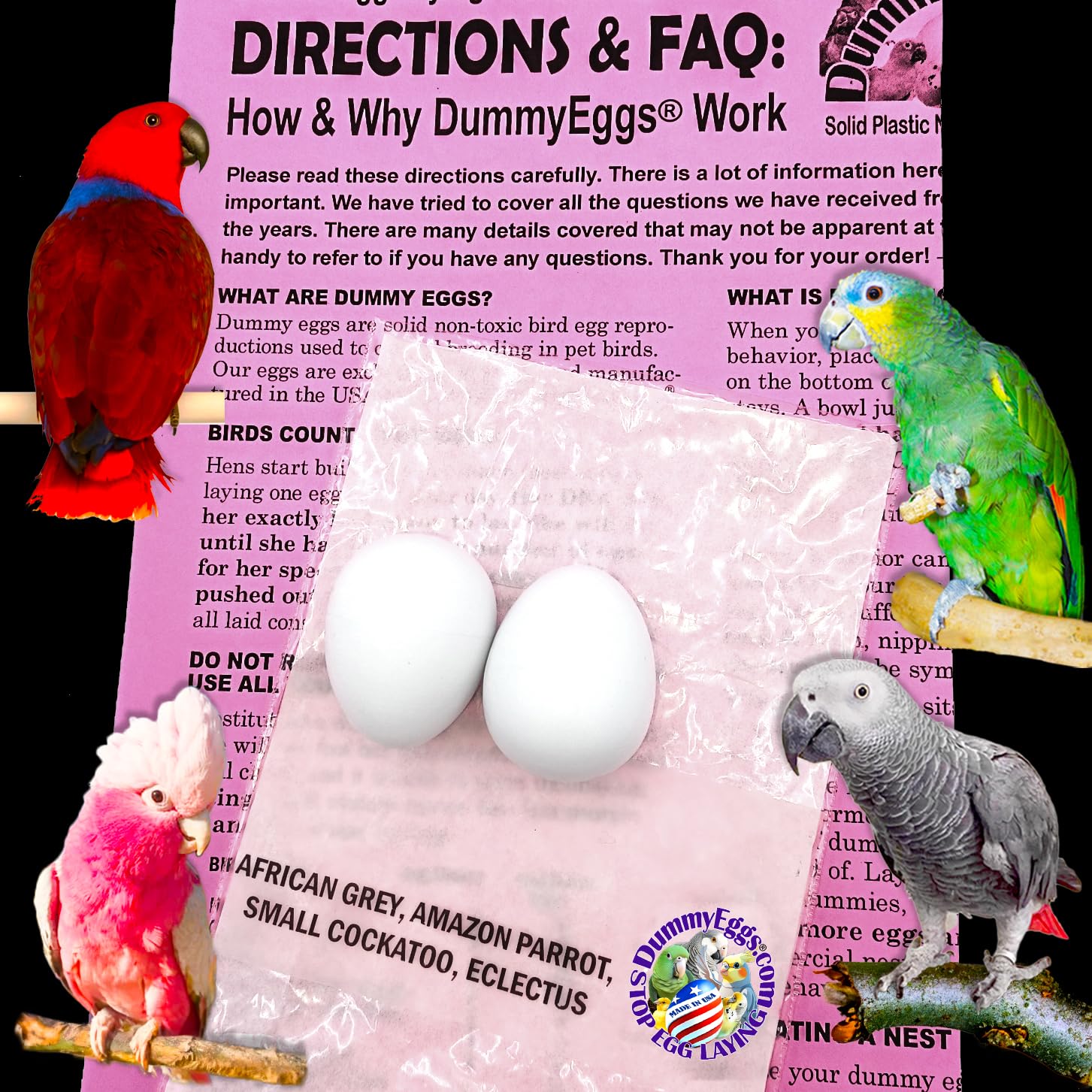 Medium Parrot Dummy Plastic Eggs Control Laying (2)! 1.5" x 1.25" (3.7 x 3cm) Non-Toxic Solid Plastic Fake Dummy Bird Eggs African Grey, Eclectus, Azn, Small Cockatoo or Macaw. Ship Fast!