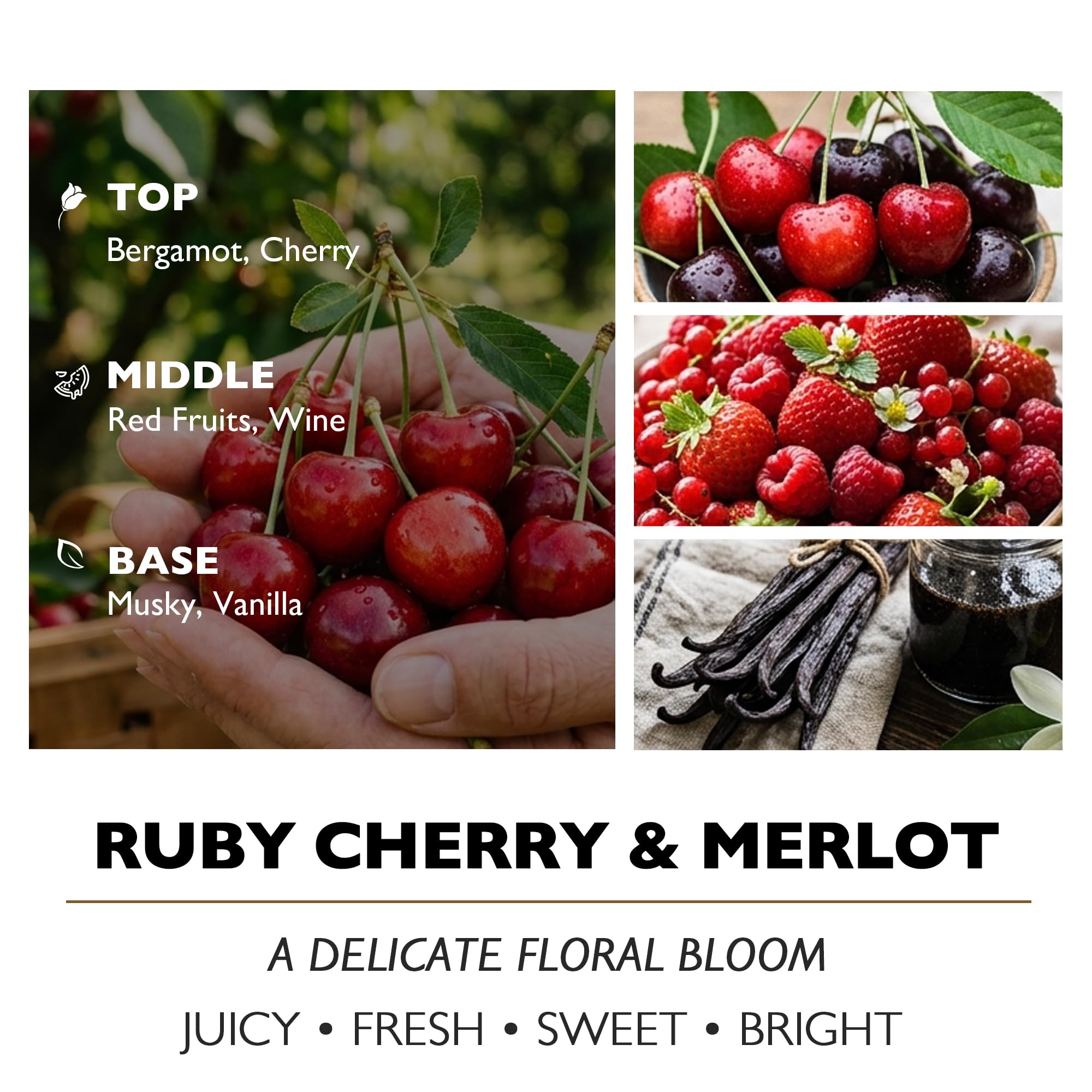 HomeLights Bougies parfumées en pot, bougies de soja naturel, 3 mèches en coton, longue durée de 130 heures, bougie d'aromathérapie, Rubis cerise et merlot